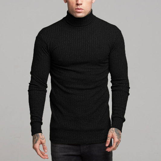 Knit Muscle Fit Turtle-neck Tee