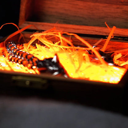 Wolf Head Viking Titanium Steel Strengthen Bracelet